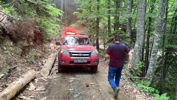 Üzerine ağaç düşen kişi kurtarıldı