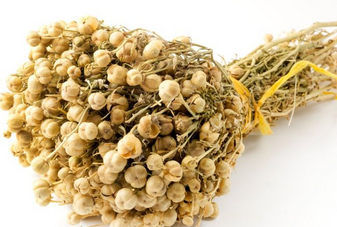 Foto - Üzerlik tohumu! Bu gıda denemeye değer bir tat! Beklenmedik bir gerçek: Böyle etki görülmedi