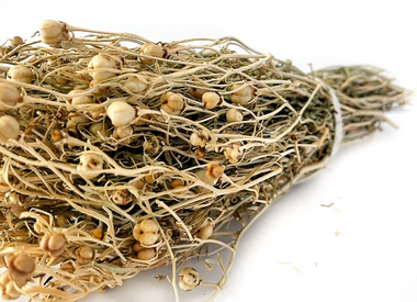 Üzerlik tohumu! Bu gıda denemeye değer bir tat! Beklenmedik bir gerçek: Böyle etki görülmedi