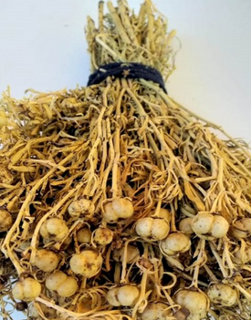 Foto - Üzerlik tohumu! Bu gıda denemeye değer bir tat! Beklenmedik bir gerçek: Böyle etki görülmedi