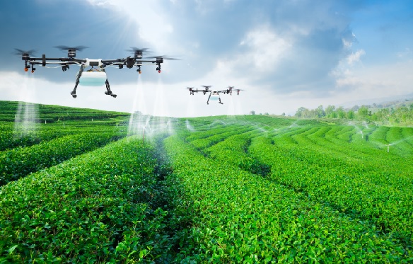 Foto - Uzman isim açıkladı! Acilen önlem alınmalı