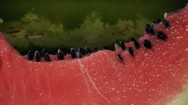 Foto - Uzman isim açıkladı! Bakın karpuz çekirdeği hangi hastalığa iyi geliyor