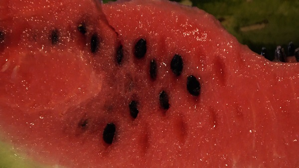 Foto - Uzman isim açıkladı! Bakın karpuz çekirdeği hangi hastalığa iyi geliyor