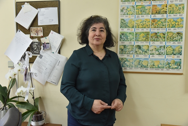 Uzman isim açıkladı... İşte Türkiye'de en çok zehirlenmeye yol açan mantar cinsi