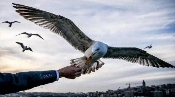 Foto - Uzman isim açıkladı: Pastırma yazı geliyor