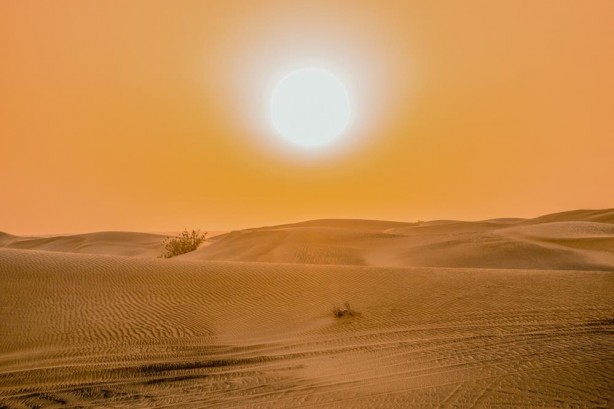 Foto - Uzman isim kötü haber verdi! Normale dönmesi 20-30 yılı bulabilir