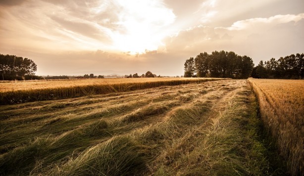 Uzman isim 'O iki bölgeden arsa alın' diyerek bombayı bıraktı: Hemen alın konut fiyatları çıldıracak