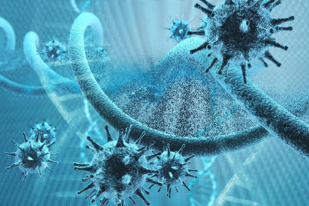 Uzman isim tek tek açıkladı! Akciğerleri koronavirüse karşı sapasağlam yapıyor