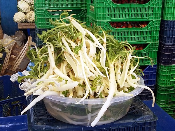 Foto - Uzman isim tek tek açıkladı! Bu bitki taş düşürmede birebir