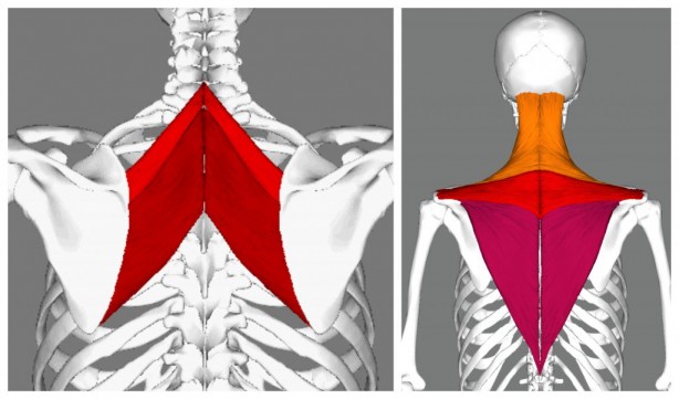 Foto - Pandemi dönemi için uzman isim uyardı: Buna dikkat etmezseniz boyunuz kısalabilir!