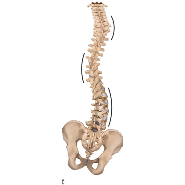 Foto - Pandemi dönemi için uzman isim uyardı: Buna dikkat etmezseniz boyunuz kısalabilir!