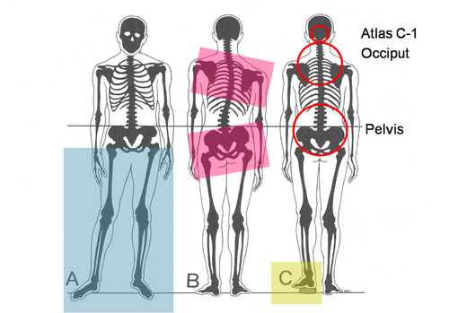 Foto - Pandemi dönemi için uzman isim uyardı: Buna dikkat etmezseniz boyunuz kısalabilir!
