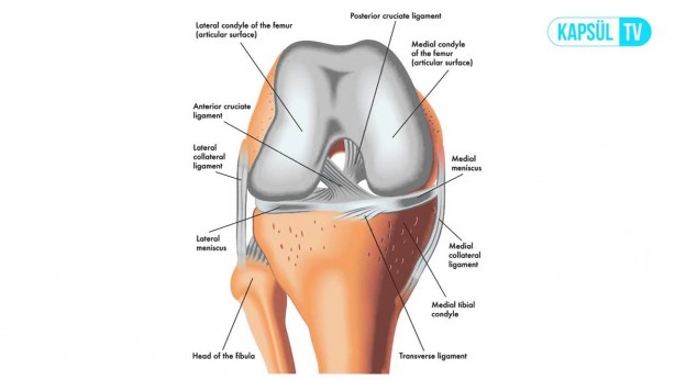 Foto - Uzman isim uyardı: Menisküs yırtığına dikkat!