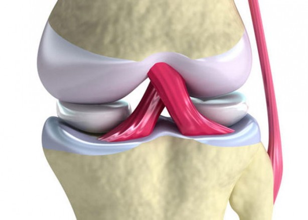 Foto - Uzman isim uyardı: Menisküs yırtığına dikkat!