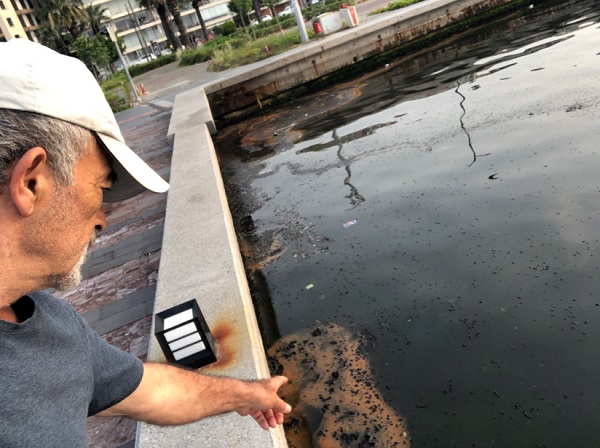 Foto - Uzman isimden açıklama geldi! İzmir Körfezi’nde neler oluyor?