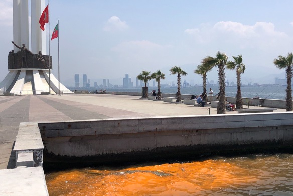 Foto - Uzman isimden açıklama geldi! İzmir Körfezi’nde neler oluyor?