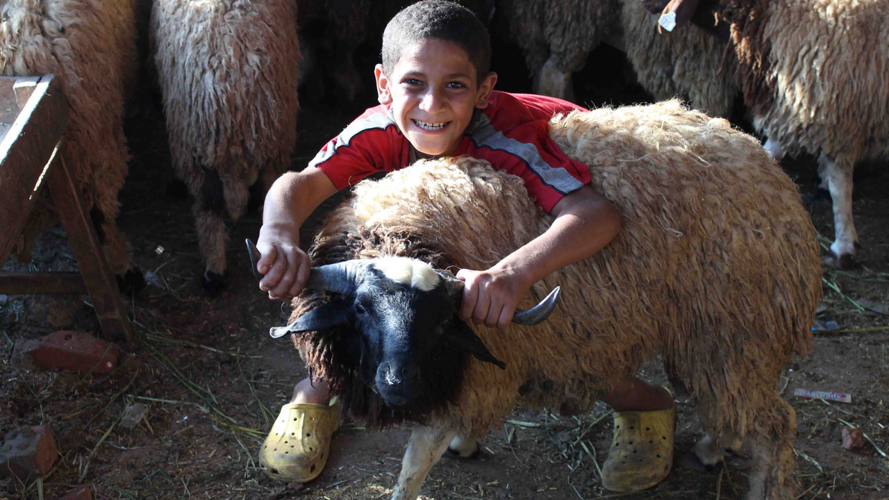 Foto - Uzman isimden ailelere önemli uyarı! Kurban bayramı çocuklara nasıl anlatılmalı?