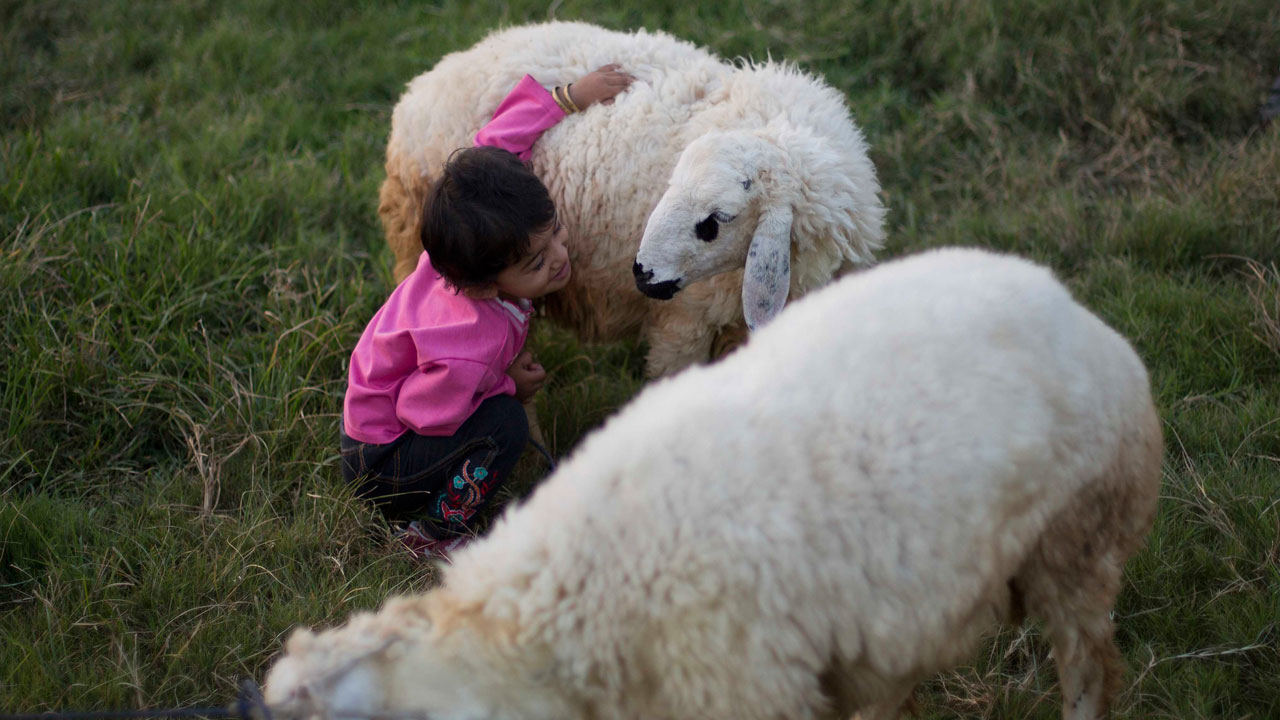 Foto - Uzman isimden ailelere önemli uyarı! Kurban bayramı çocuklara nasıl anlatılmalı?