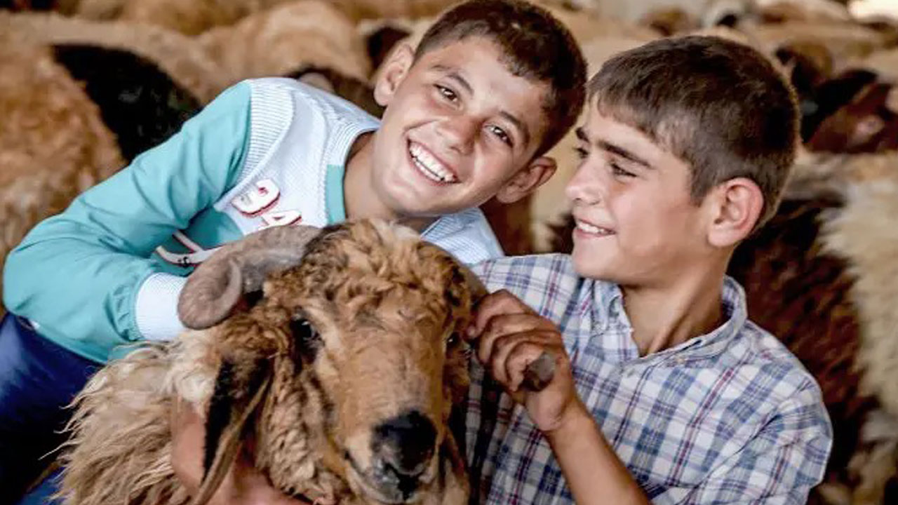 Foto - Uzman isimden ailelere önemli uyarı! Kurban bayramı çocuklara nasıl anlatılmalı?