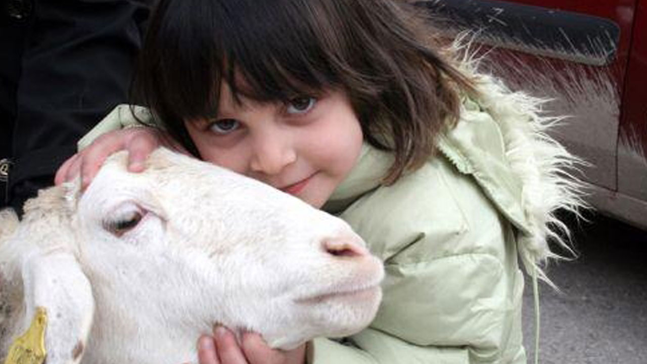 Foto - Uzman isimden ailelere önemli uyarı! Kurban bayramı çocuklara nasıl anlatılmalı?