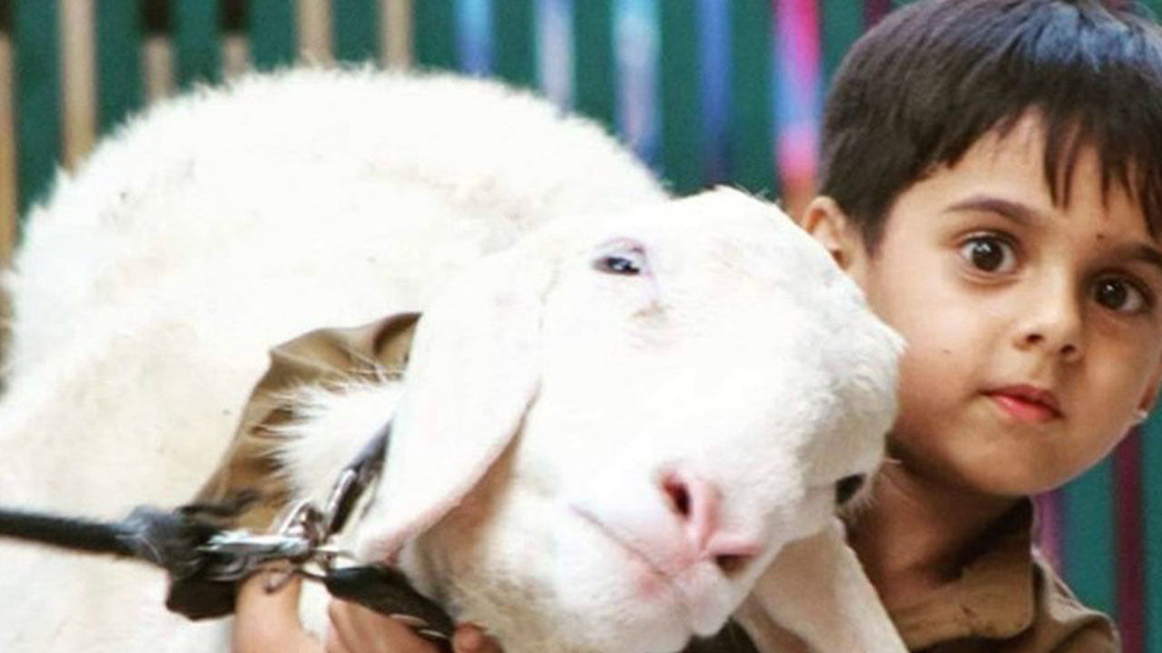 Foto - Uzman isimden ailelere önemli uyarı! Kurban bayramı çocuklara nasıl anlatılmalı?