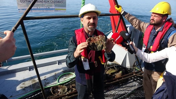 Uzman isimden denizlerle ilgili korkutan açıklama! 2050 yılında balık bulamayabiliriz