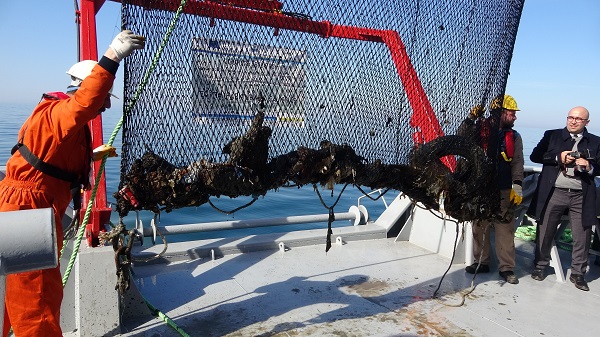 Foto - Uzman isimden denizlerle ilgili korkutan açıklama! 2050 yılında balık bulamayabiliriz