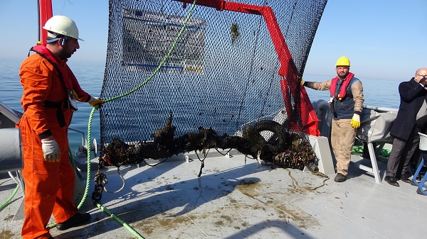 Foto - Uzman isimden denizlerle ilgili korkutan açıklama! 2050 yılında balık bulamayabiliriz