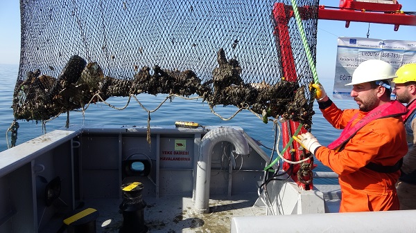 Foto - Uzman isimden denizlerle ilgili korkutan açıklama! 2050 yılında balık bulamayabiliriz