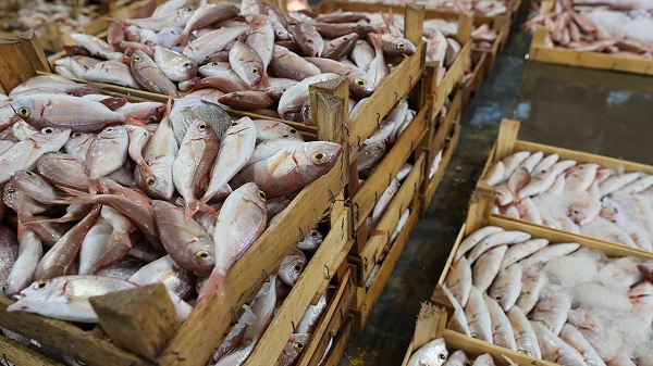 Foto - Uzman isimden korkutan açıklama! Deniz ürünleri sanıldığı gibi masum değil mi?