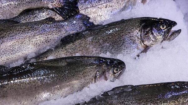 Foto - Uzman isimden korkutan açıklama! Deniz ürünleri sanıldığı gibi masum değil mi?