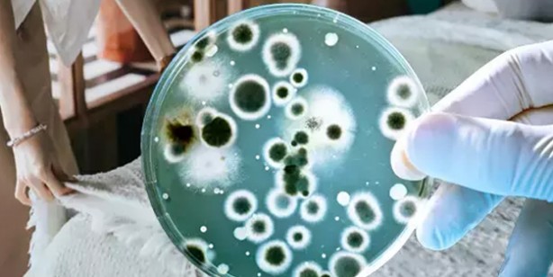 Foto - Uzman isimden korkutan uyarı geldi! Sessizce gelen gizli tehlike: İçinde maalesef mikroplar cirit atıyor! Aman dikkat! 