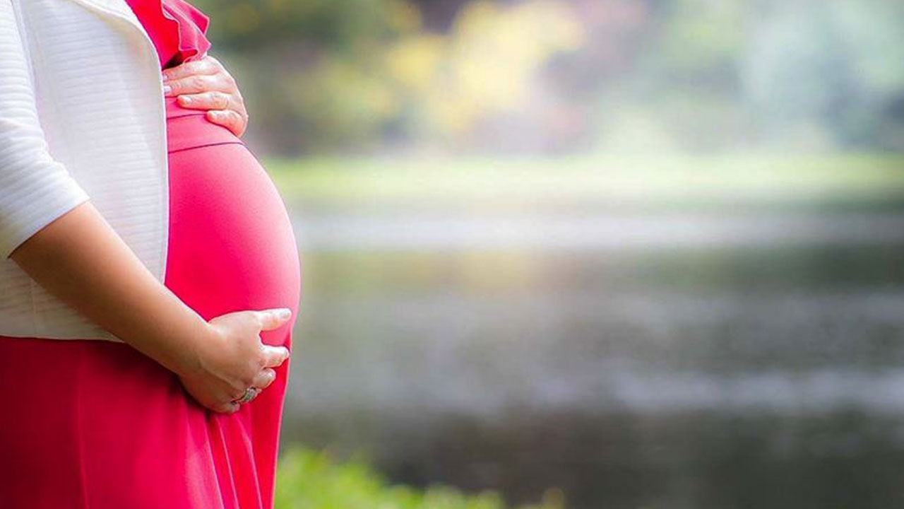 Foto - Uzman isimden önemli açıklama! Gebeler için hayati uyarı