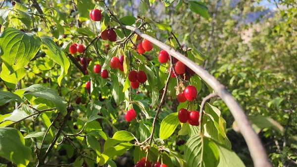 Uzman isimden önemli tavsiye! Bu yöntemle 1 ayda 10 kilo verebilirsiniz
