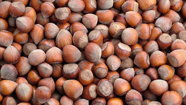 Foto - Uzman isimden önemli tavsiye! Kabızlıkla vedalaşmanın formülü