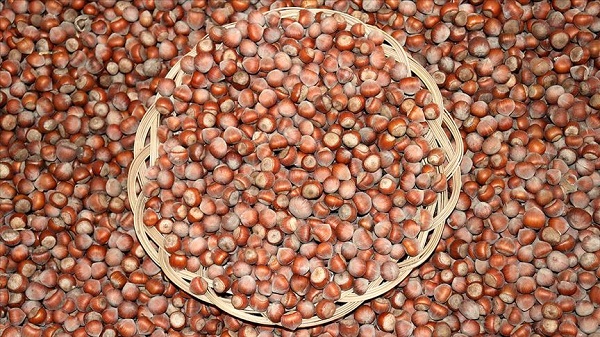 Foto - Uzman isimden önemli tavsiye! Kabızlıkla vedalaşmanın formülü