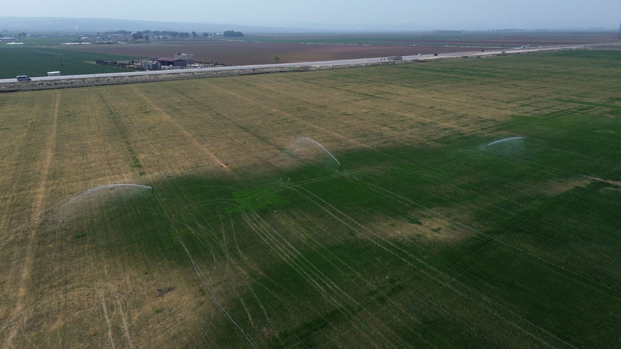 Foto - Uzman isimden önemli uyarı! Amik Ovası'nda endişe büyüyor