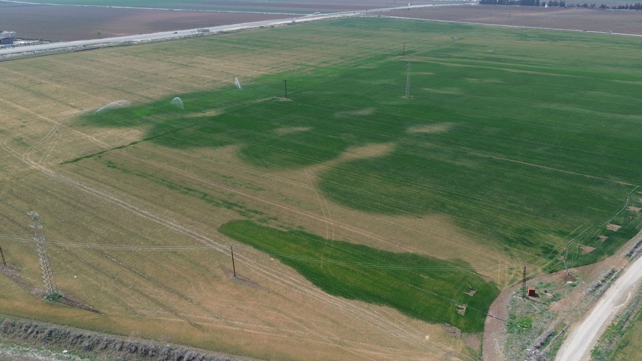 Uzman isimden önemli uyarı! Amik Ovası'nda endişe büyüyor
