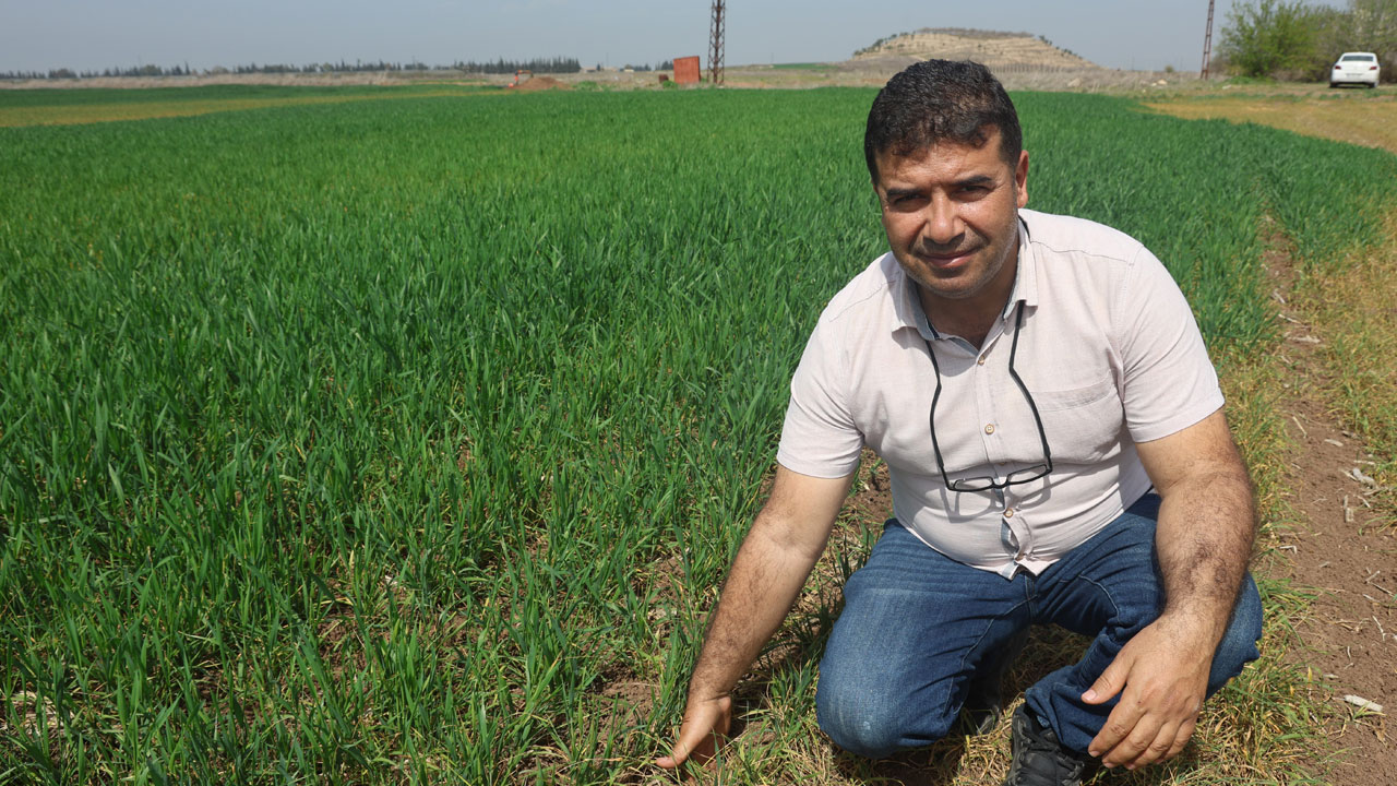 Foto - Uzman isimden önemli uyarı! Amik Ovası'nda endişe büyüyor