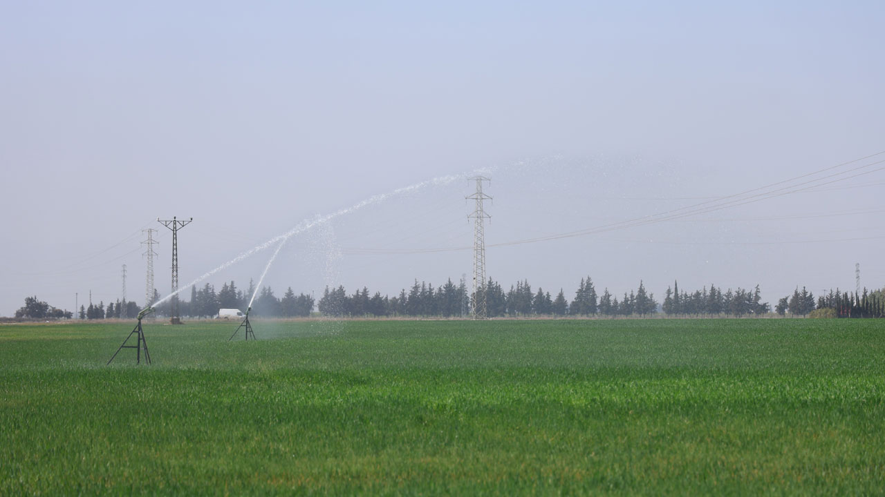 Foto - Uzman isimden önemli uyarı! Amik Ovası'nda endişe büyüyor