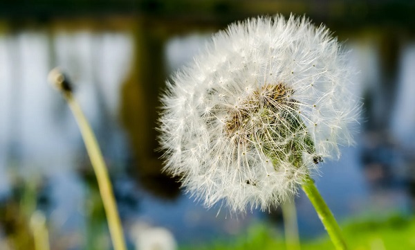 Foto - Uzman isimden 'Rüzgarlı havada dışarı çıkmayın' uyarısı