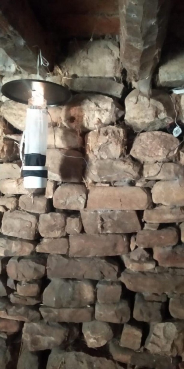 Foto - Uzman isimden sivri ve sinek uyarısı! Vücudunuzda yara çıkıyorsa…