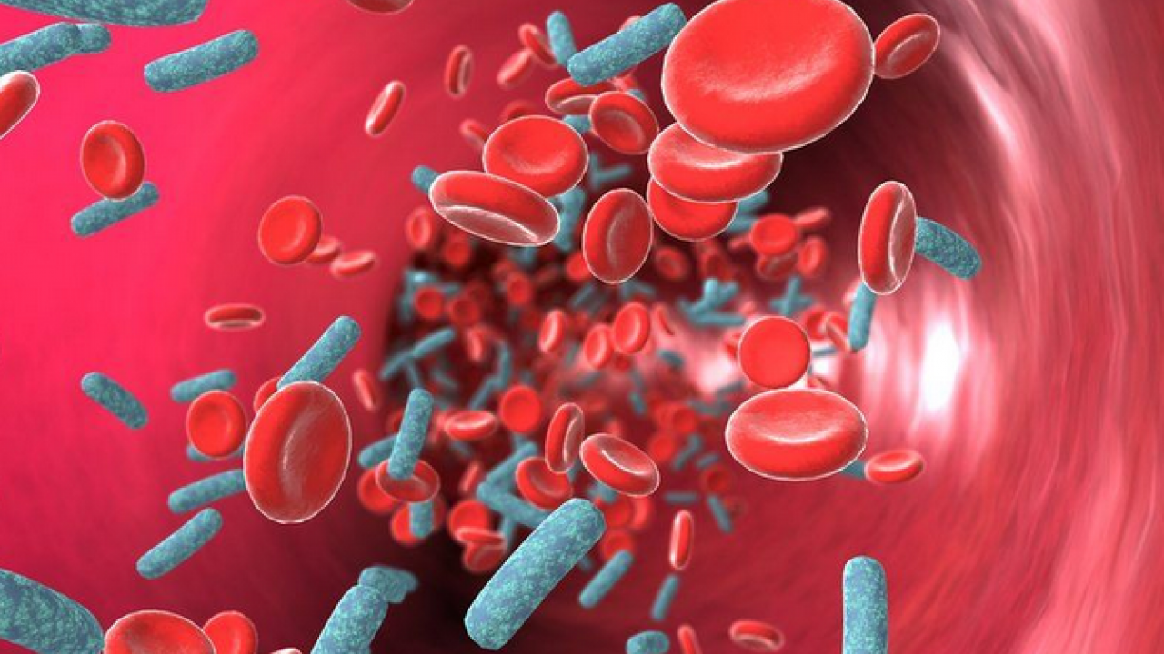 Foto - Uzman paylaştı: Sepsis her yıl 30 milyondan fazla insanı etkiliyor!