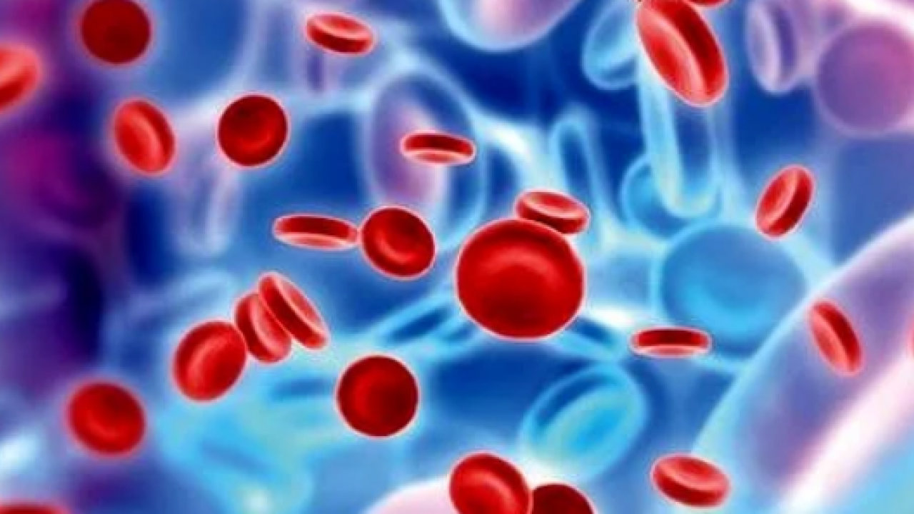 Foto - Uzman paylaştı: Sepsis her yıl 30 milyondan fazla insanı etkiliyor!