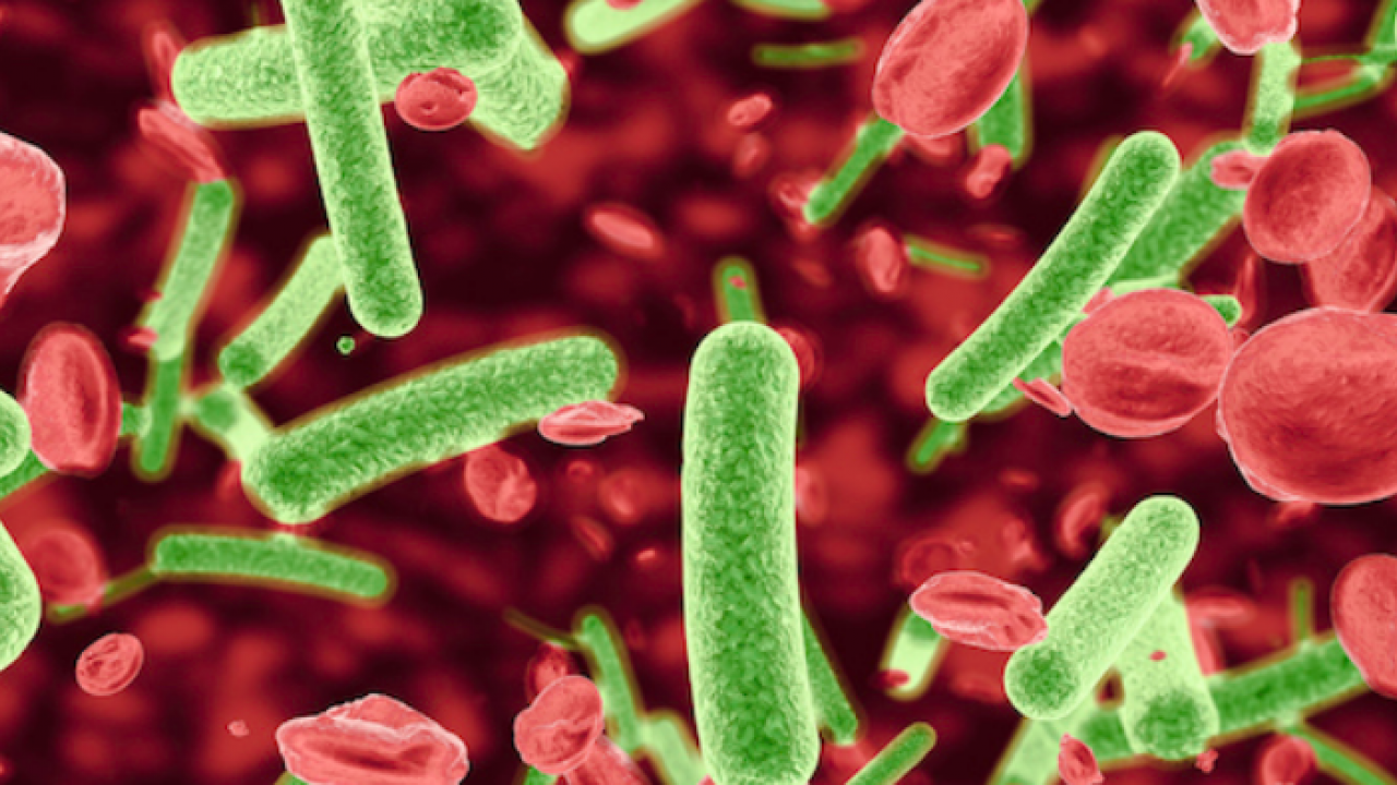 Uzman paylaştı: Sepsis her yıl 30 milyondan fazla insanı etkiliyor!