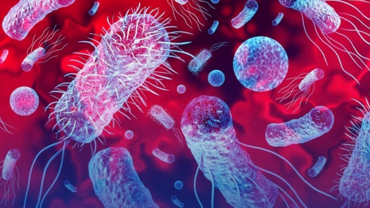 Foto - Uzman paylaştı: Sepsis her yıl 30 milyondan fazla insanı etkiliyor!