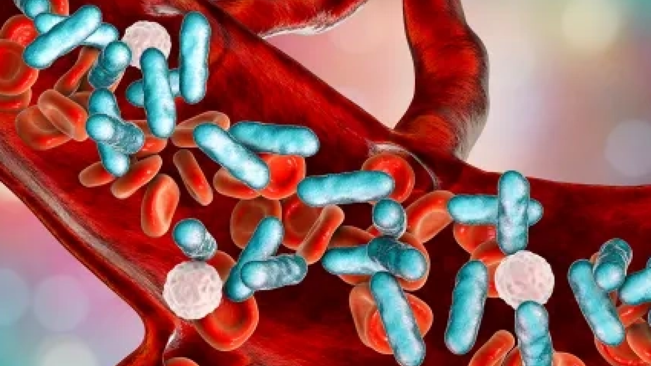 Foto - Uzman paylaştı: Sepsis her yıl 30 milyondan fazla insanı etkiliyor!