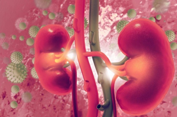 Foto - Uzmanı açıkladı! Aşırı tuzun vücuda verdiği 6 önemli zarar