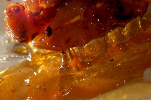 Uzmanı bunu hiç iyi demedi! 1 lokması 10 yıl yaşlandırıyor