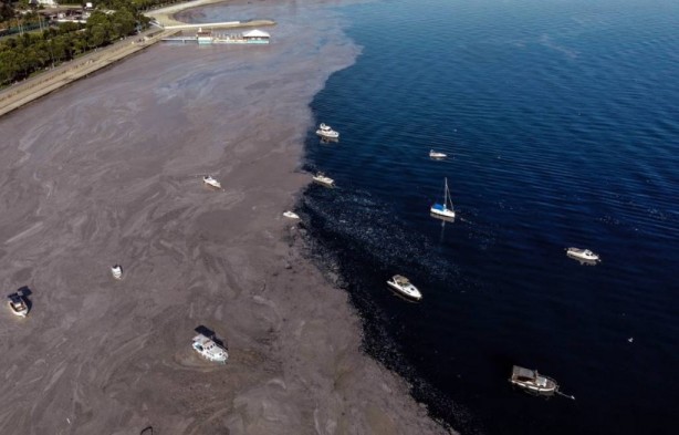 Foto - Uzmanı uyardı! Denizlerin büyük sorunu geri dönüyor